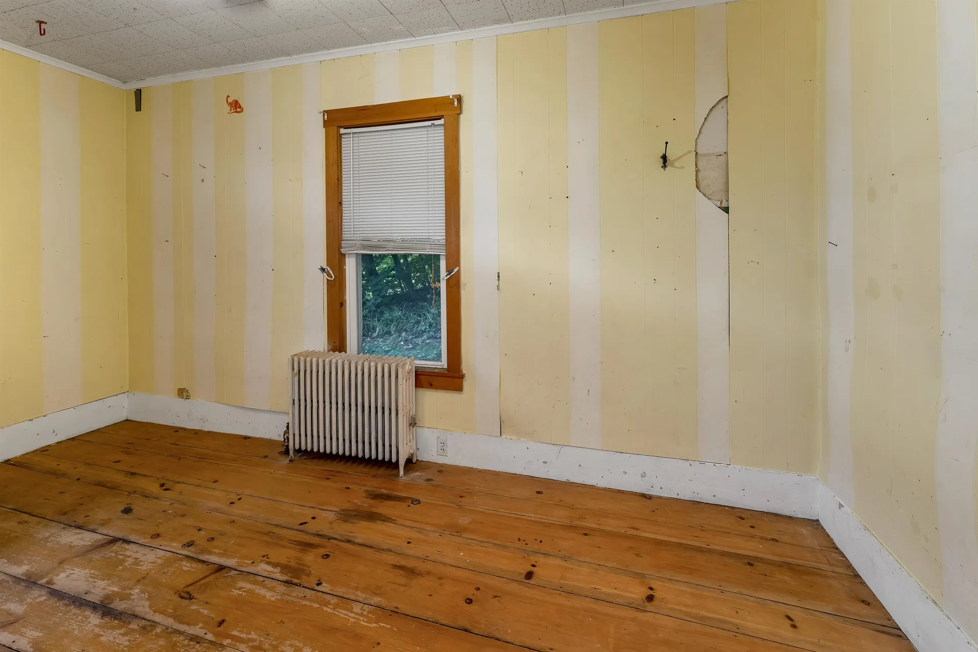 20 Coe Hill Road Center Harbor NH 03226