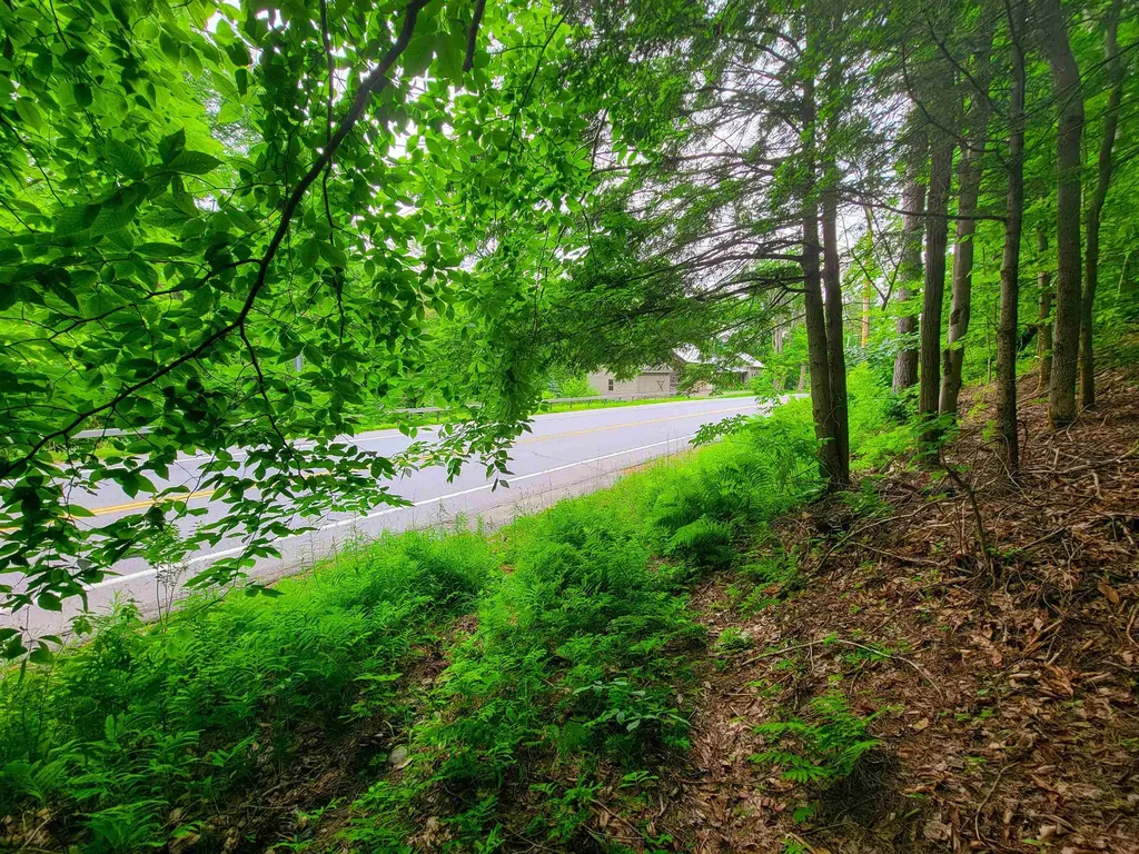 3745 Vt-100 Warren VT 05674