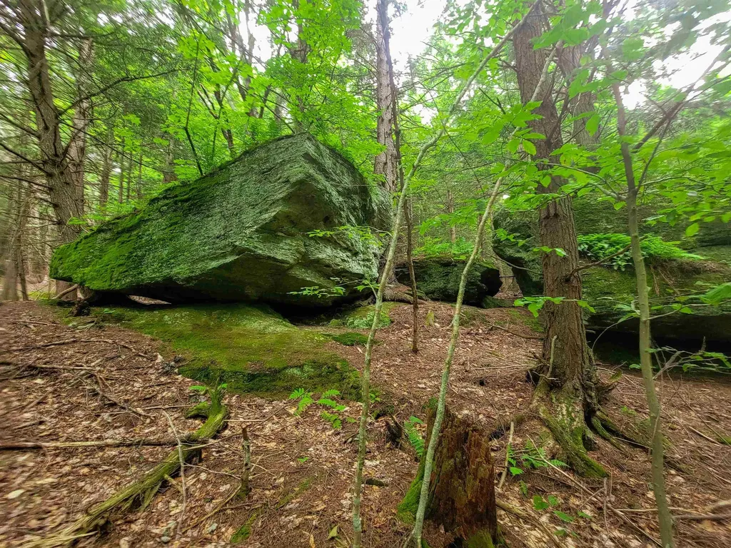 3745 Vt-100 Warren VT 05674