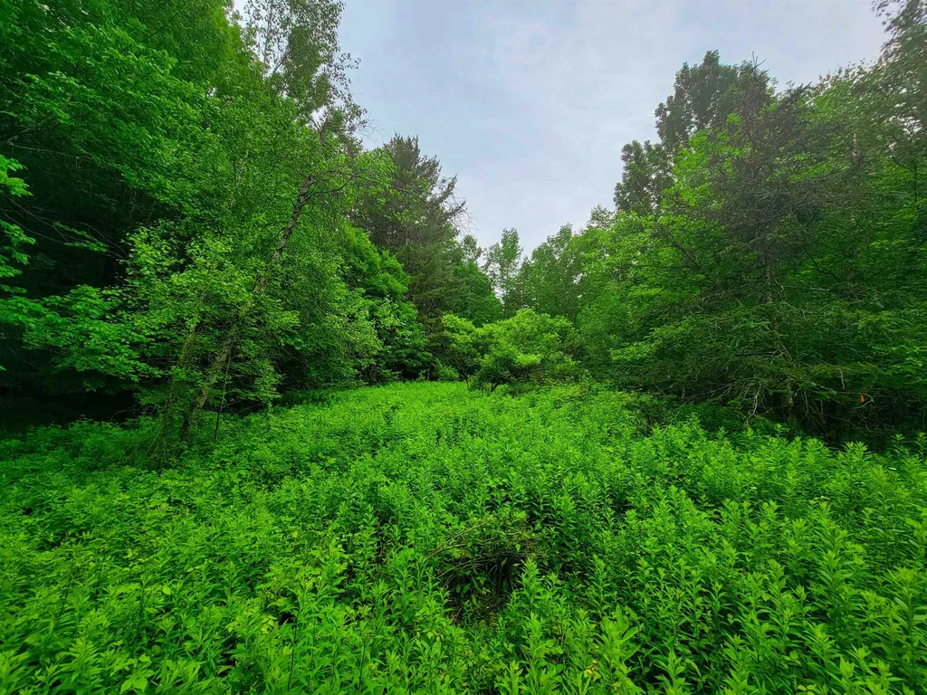 3745 Vt-100 Warren VT 05674