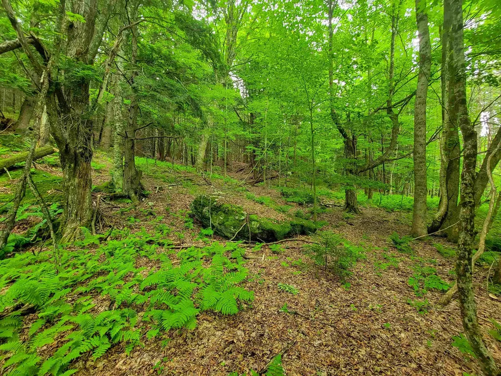 3745 Vt-100 Warren VT 05674