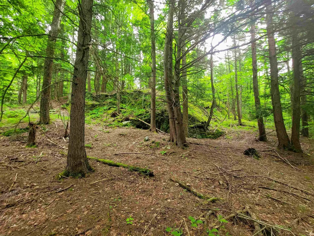 3745 Vt-100 Warren VT 05674