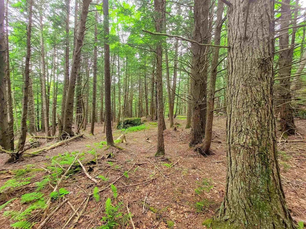 3745 Vt-100 Warren VT 05674