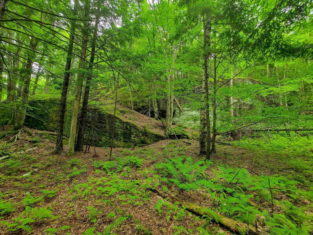 3745 Vt-100 Warren VT 05674