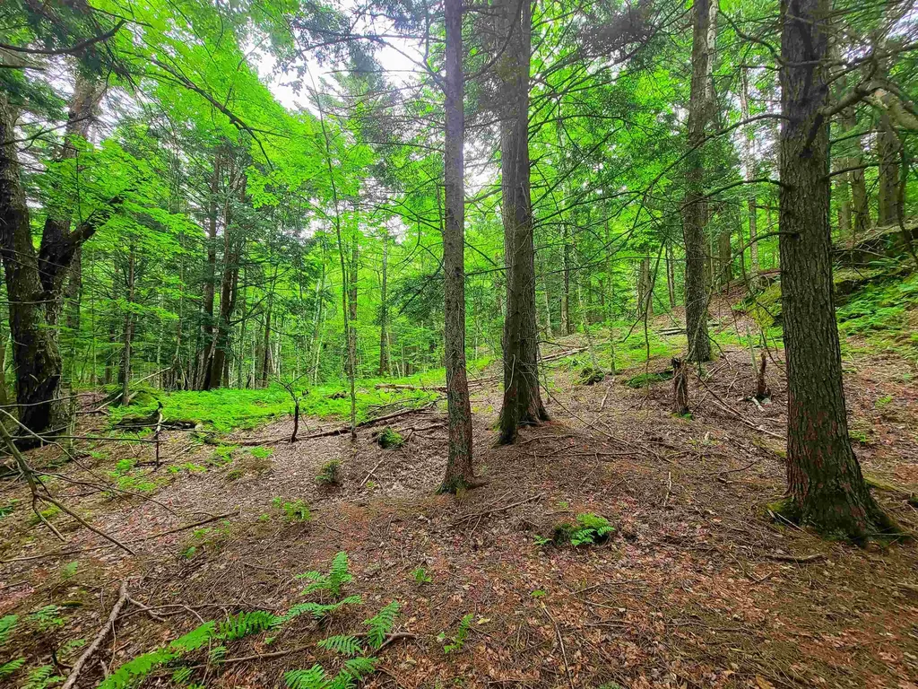 3745 Vt-100 Warren VT 05674