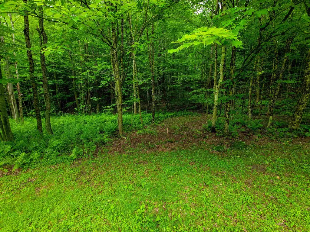 3745 Vt-100 Warren VT 05674