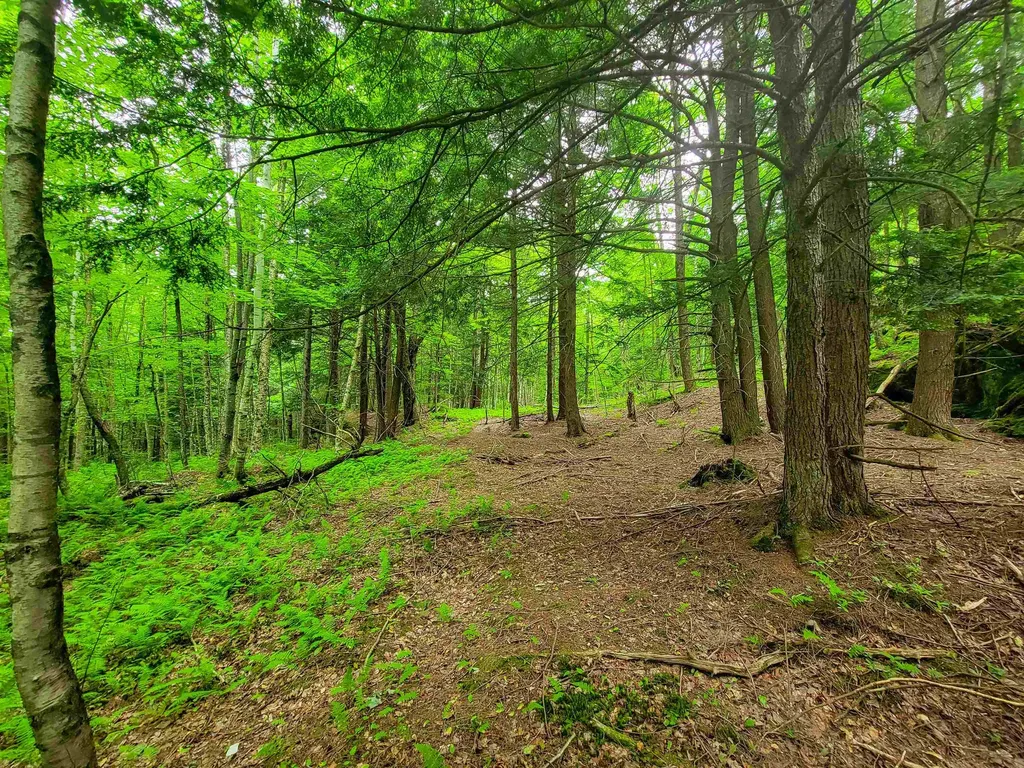 3745 Vt-100 Warren VT 05674