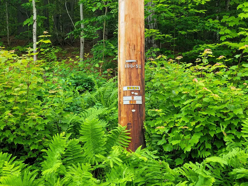 3745 Vt-100 Warren VT 05674