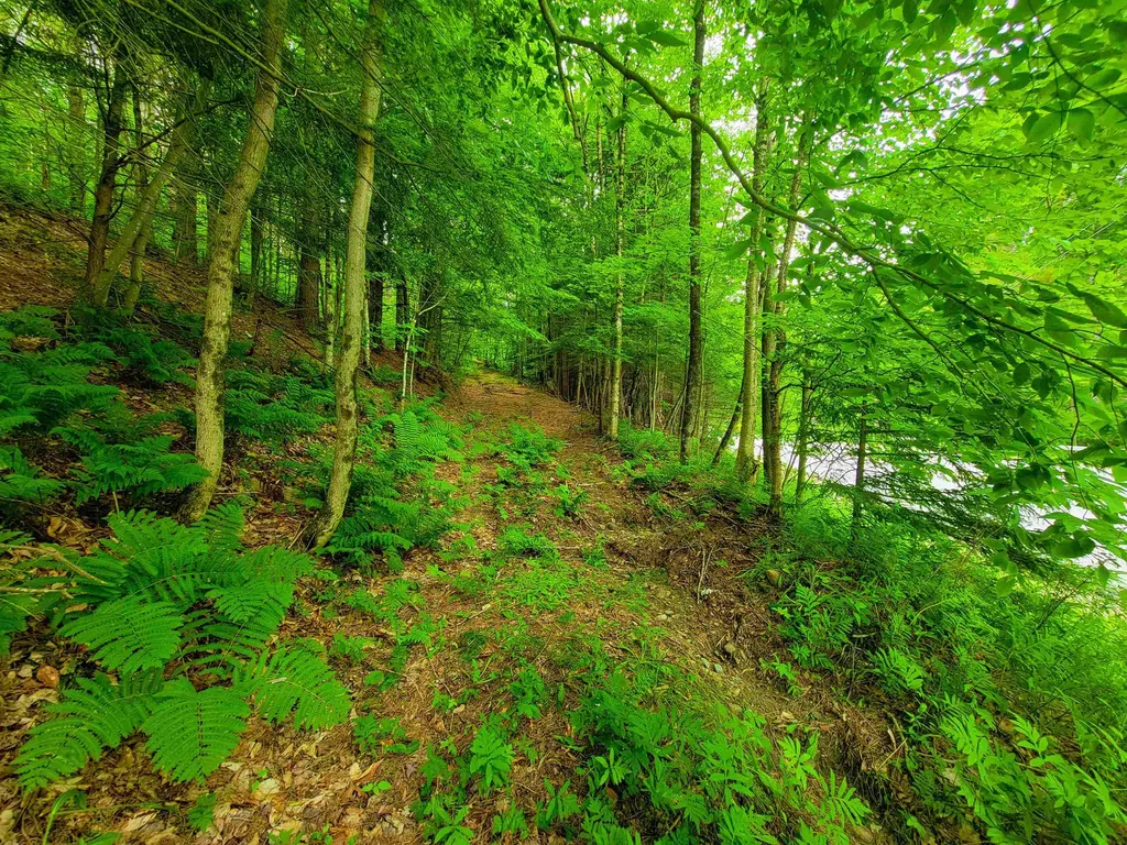 3745 Vt-100 Warren VT 05674