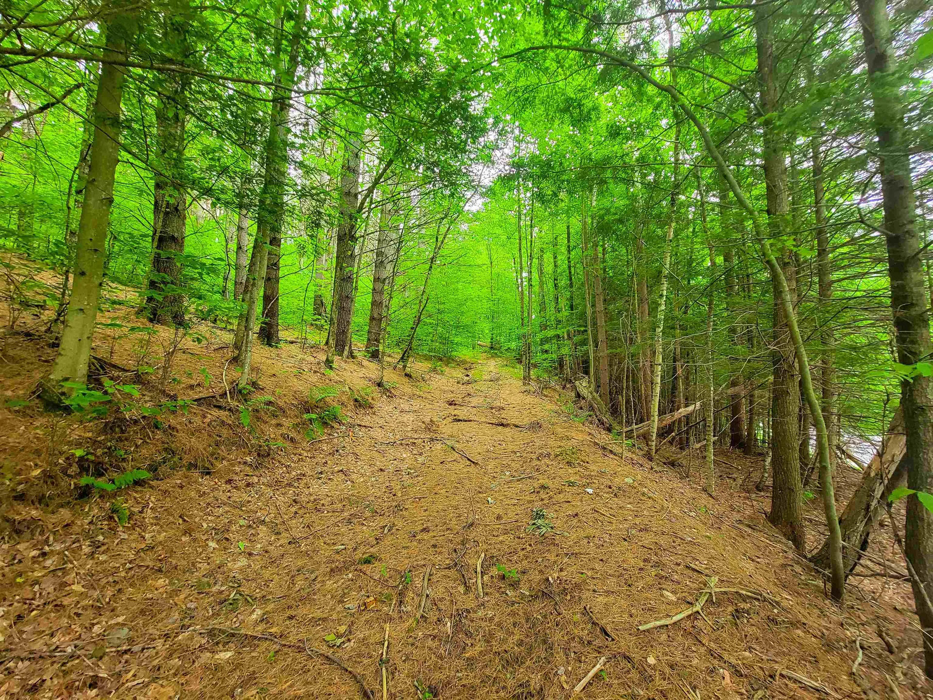 3745 Vt-100 Warren VT 05674