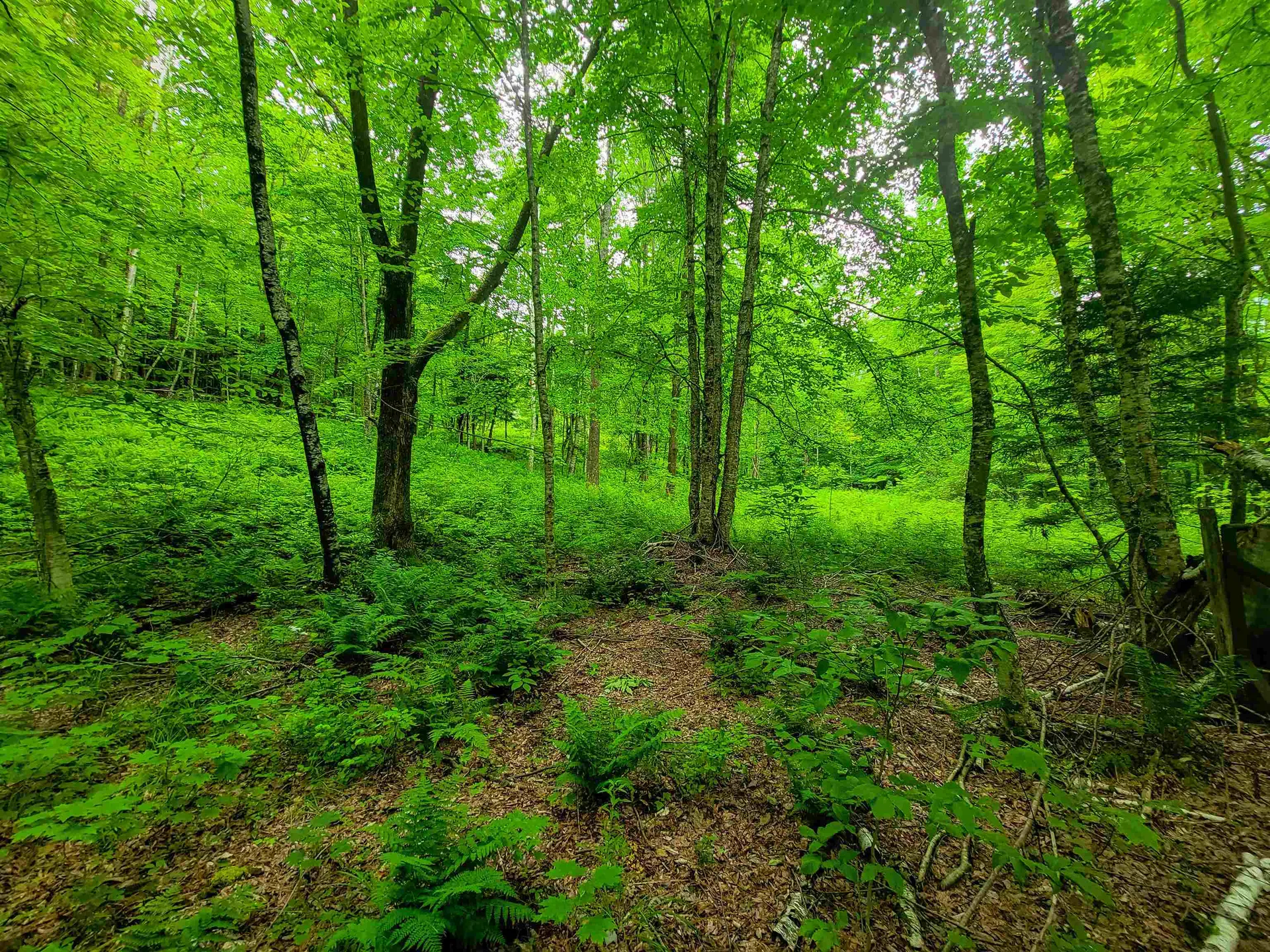 3745 Vt-100 Warren VT 05674