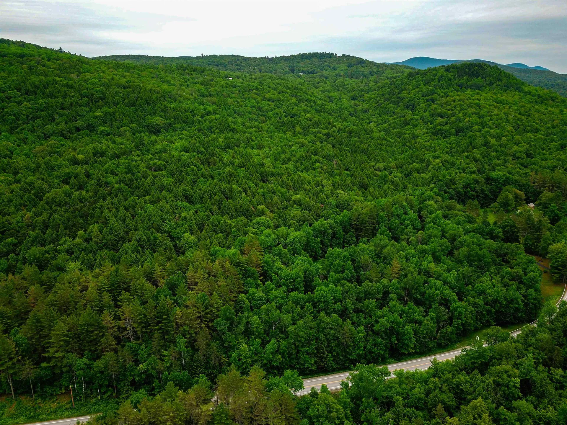 3745 Vt-100 Warren VT 05674