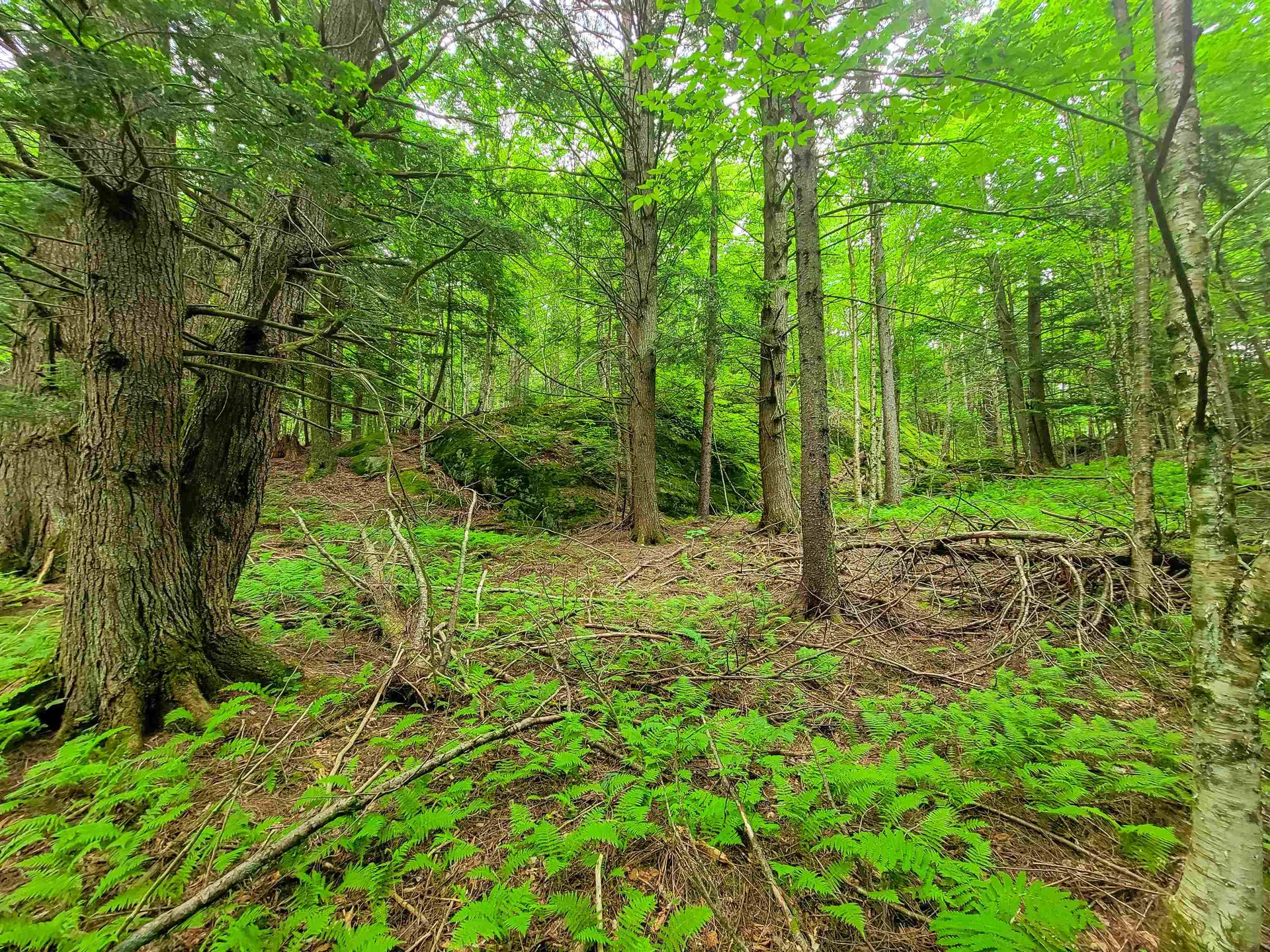 3745 Vt-100 Warren VT 05674