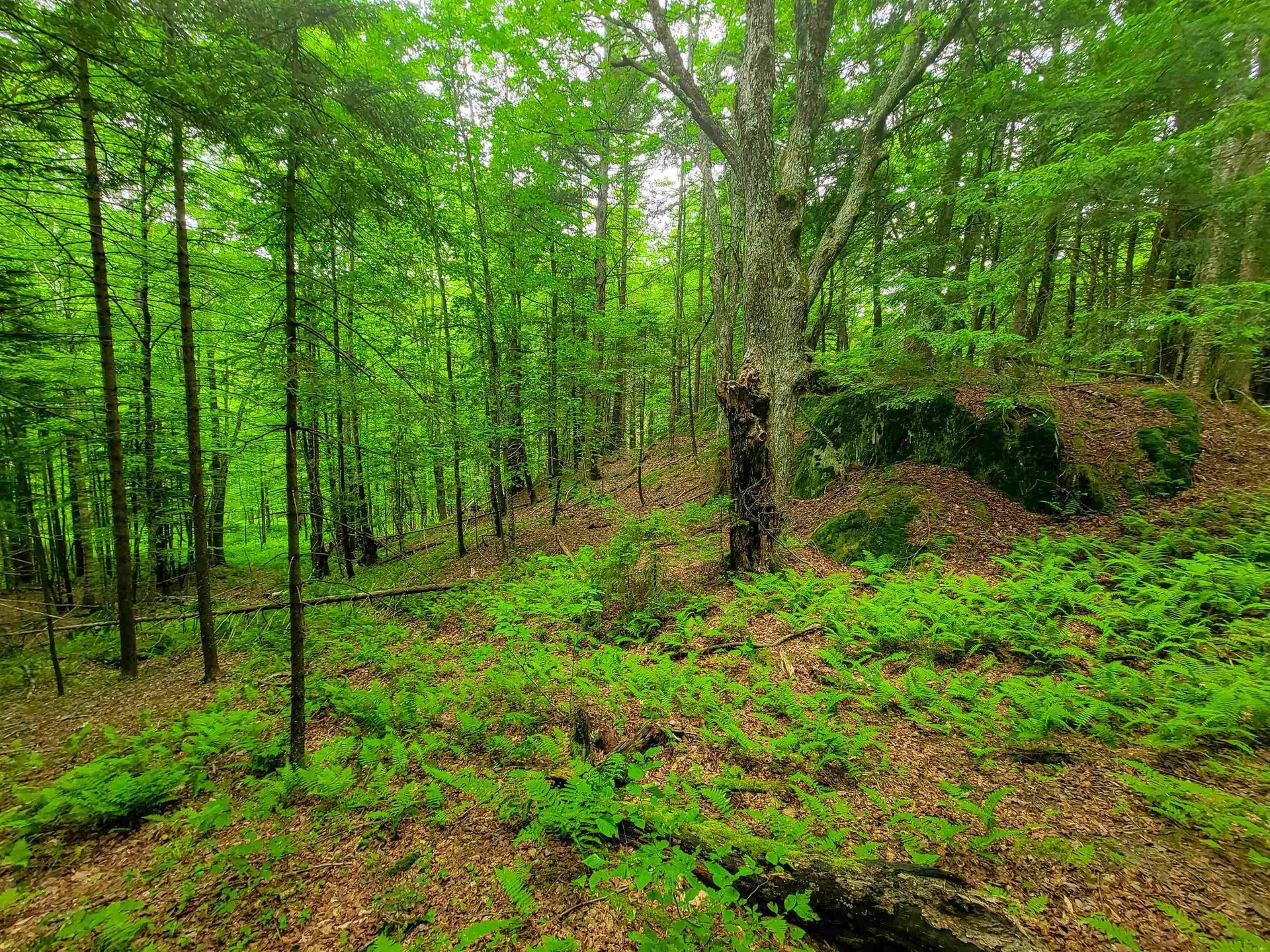 3745 Vt-100 Warren VT 05674