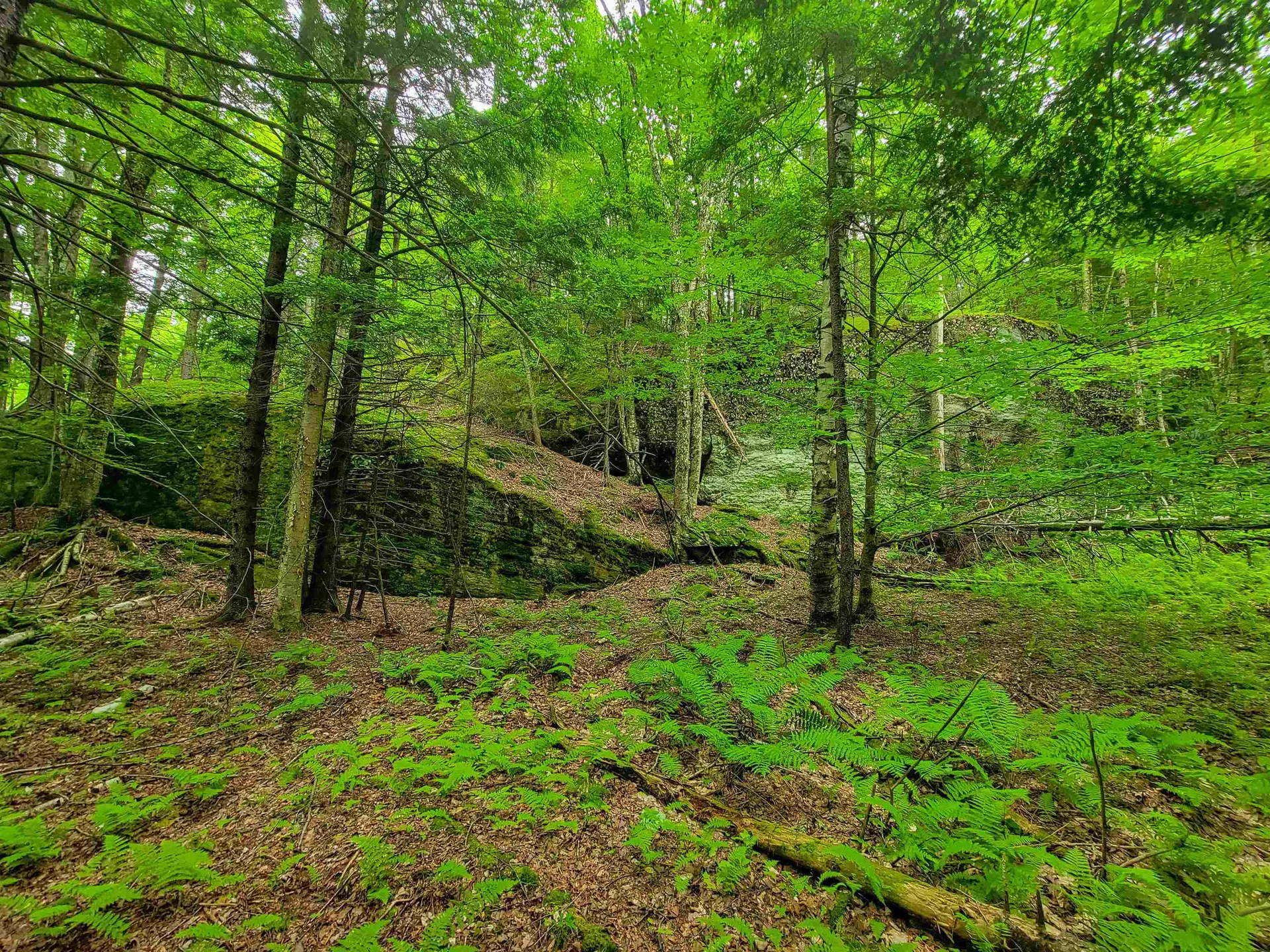 3745 Vt-100 Warren VT 05674