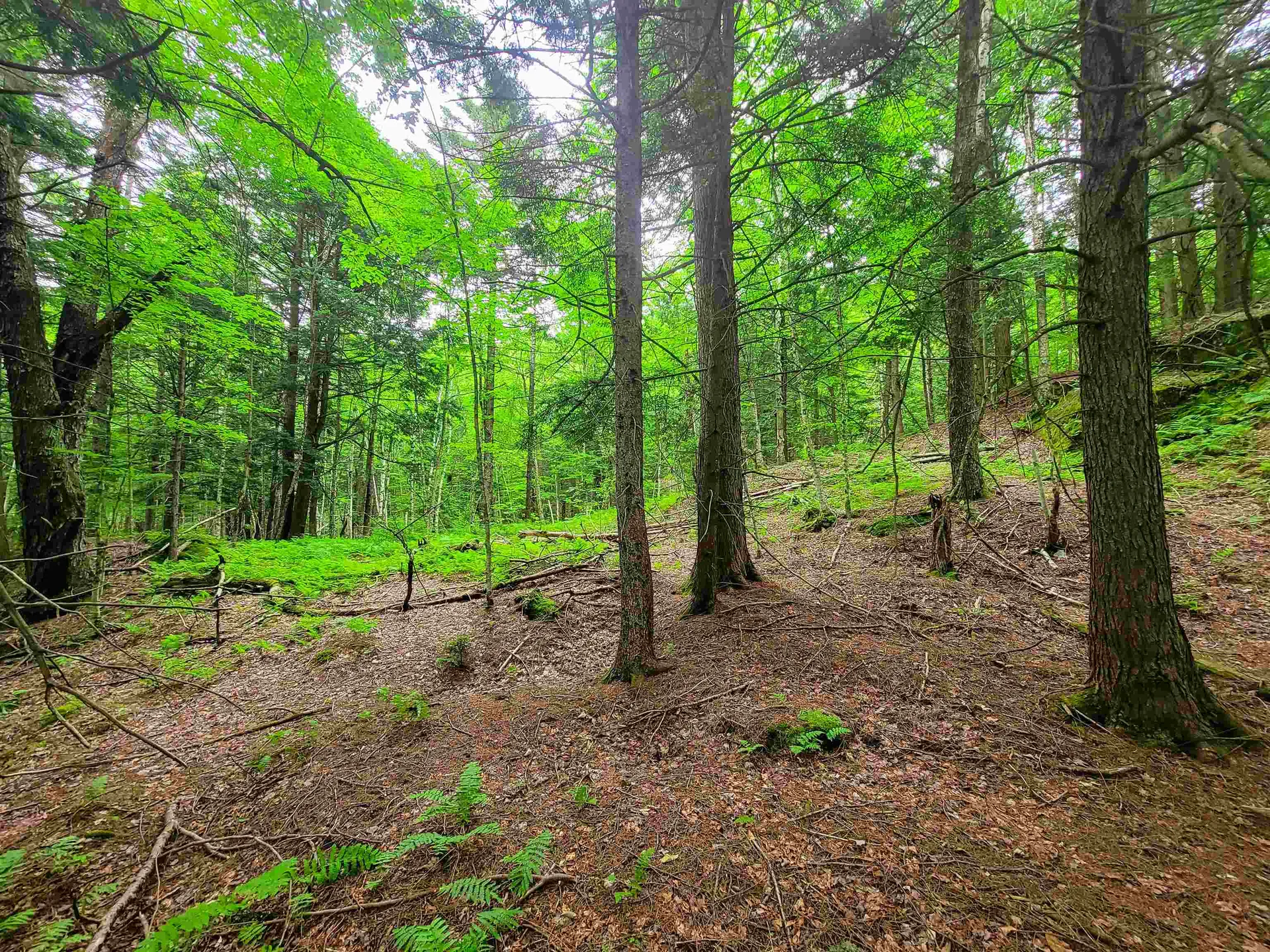 3745 Vt-100 Warren VT 05674