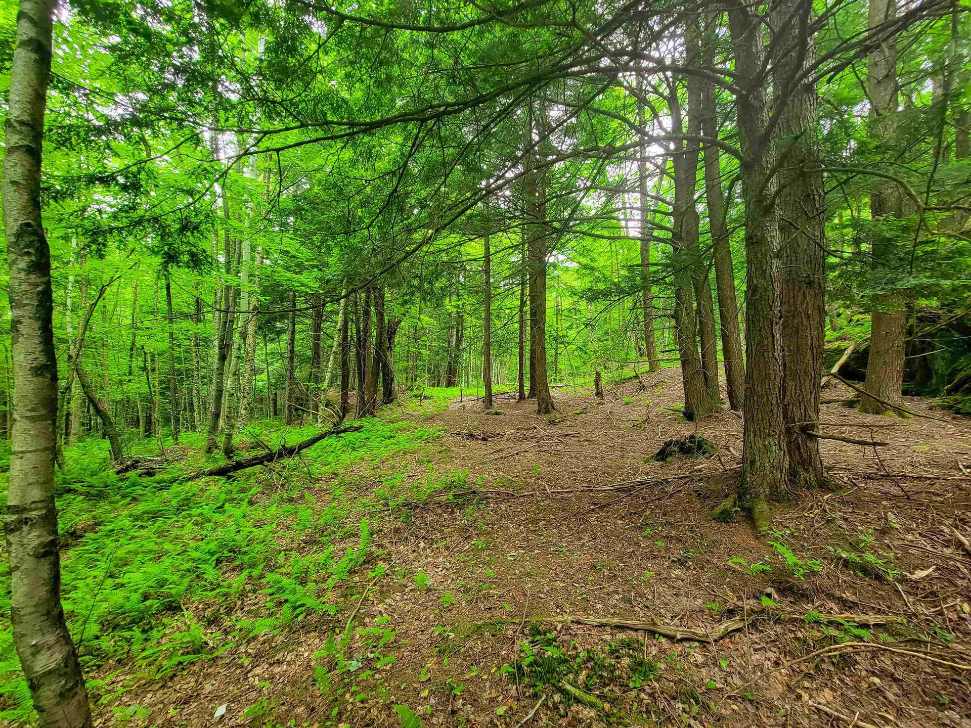 3745 Vt-100 Warren VT 05674