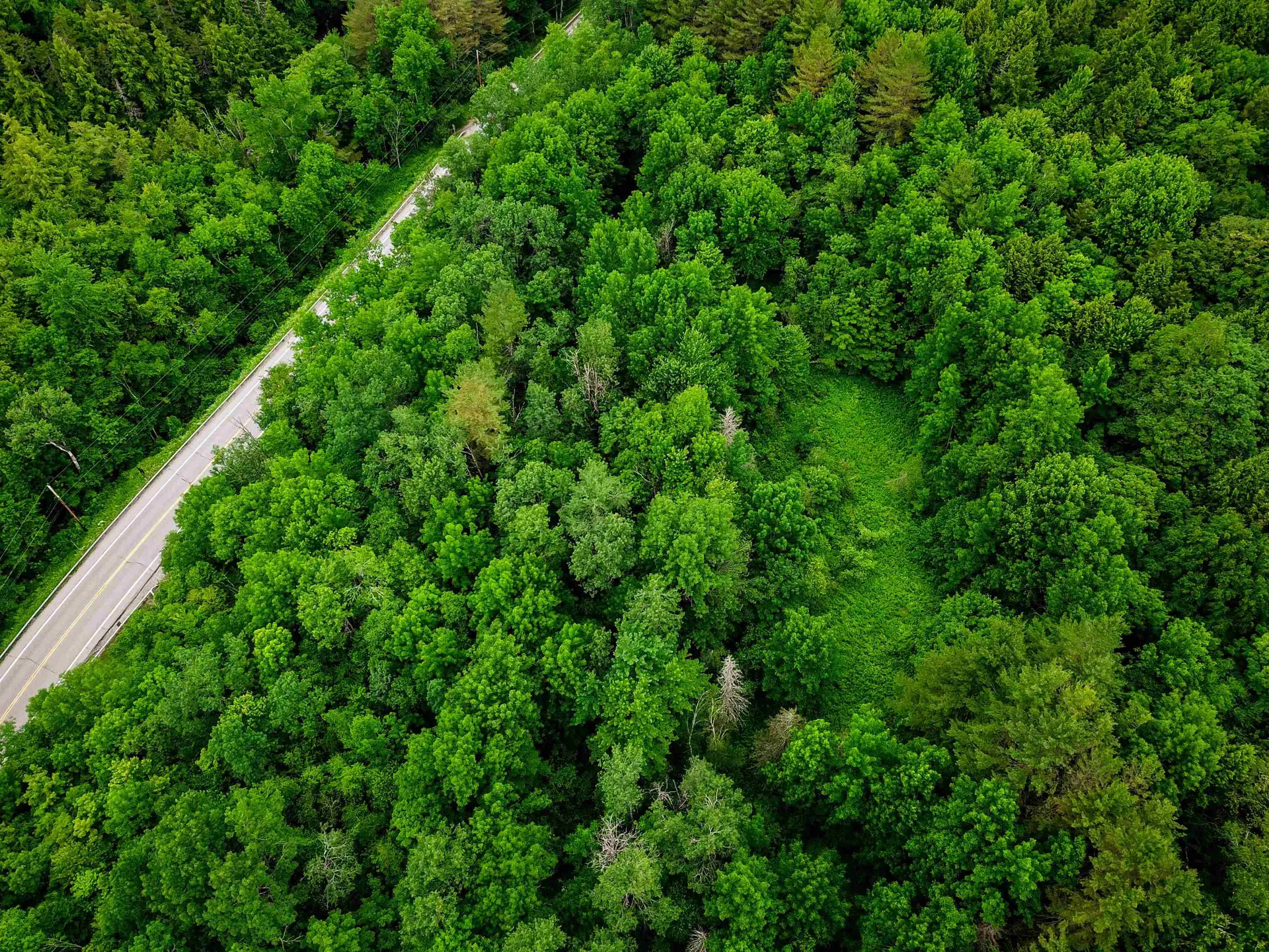 3745 Vt-100 Warren VT 05674