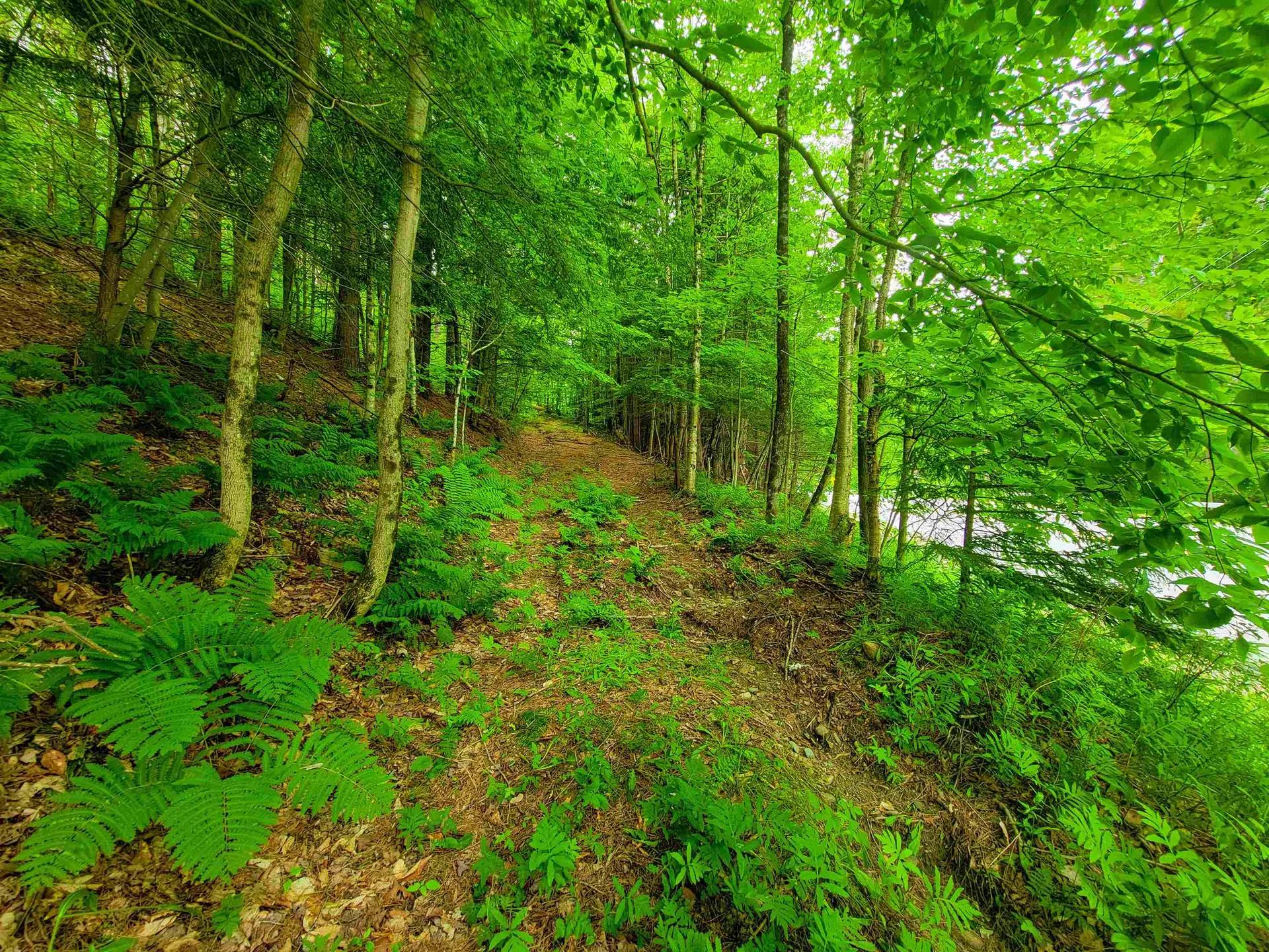 3745 Vt-100 Warren VT 05674