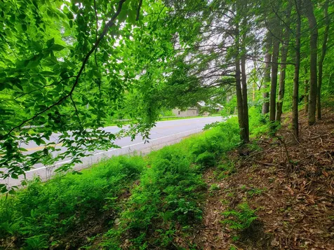 3745 Vt-100 Warren VT 05674