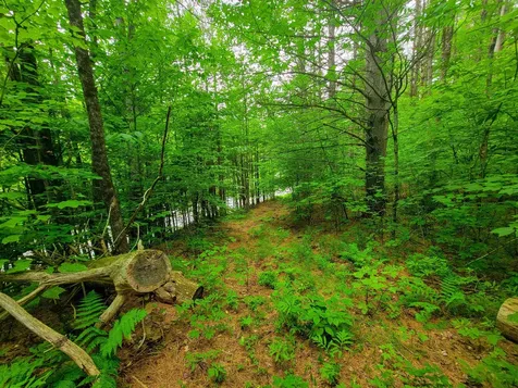 3745 Vt-100 Warren VT 05674