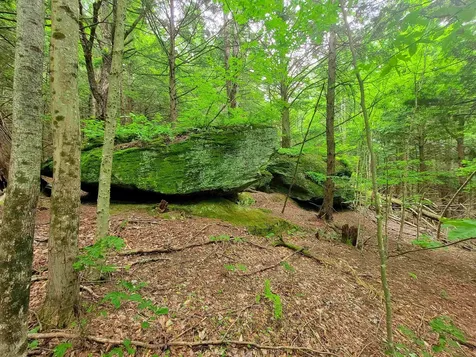 3745 Vt-100 Warren VT 05674