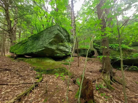 3745 Vt-100 Warren VT 05674