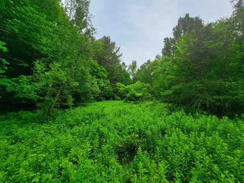 3745 Vt-100 Warren VT 05674