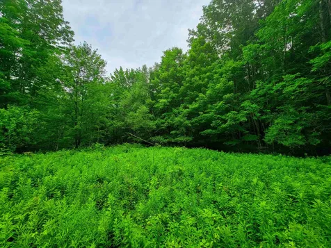 3745 Vt-100 Warren VT 05674