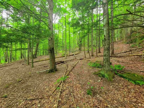 3745 Vt-100 Warren VT 05674