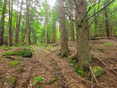 3745 Vt-100 Warren VT 05674