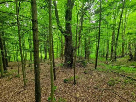 3745 Vt-100 Warren VT 05674