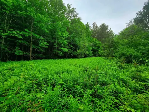 3745 Vt-100 Warren VT 05674