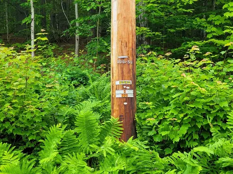 3745 Vt-100 Warren VT 05674