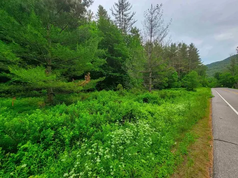 3745 Vt-100 Warren VT 05674