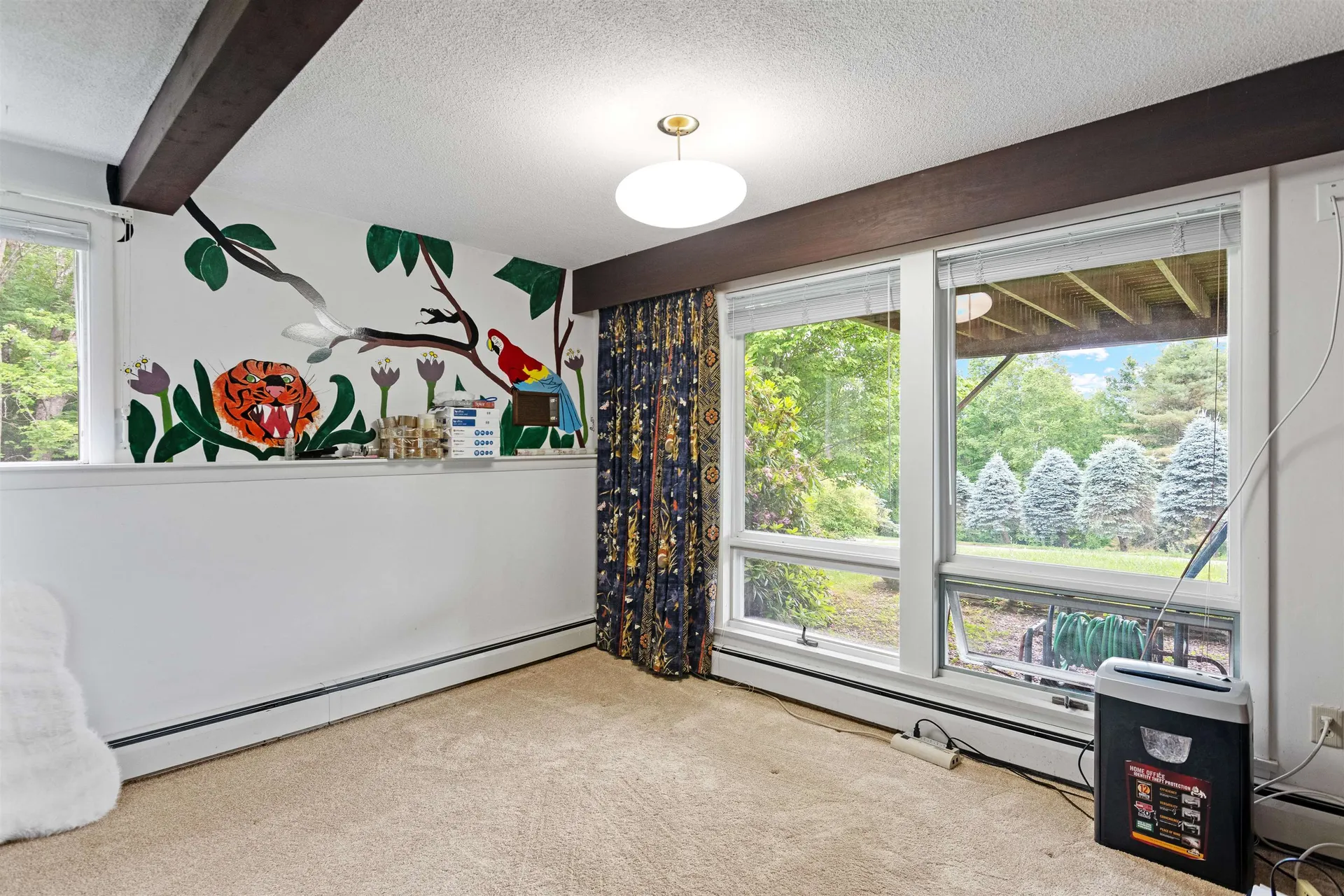 176 Towne Hill Drive Morristown VT 05661