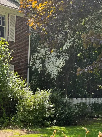 48 Pleasant Street Epping NH 03042