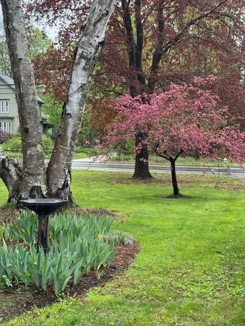 48 Pleasant Street Epping NH 03042