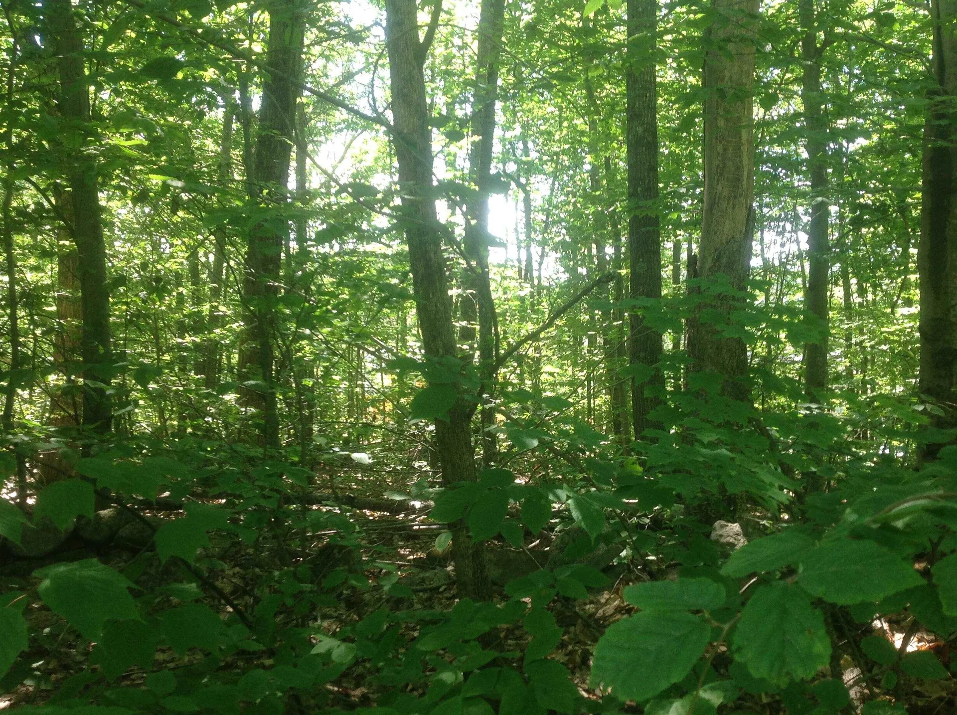 72-2 Frohock Brook Road Alton NH 03810