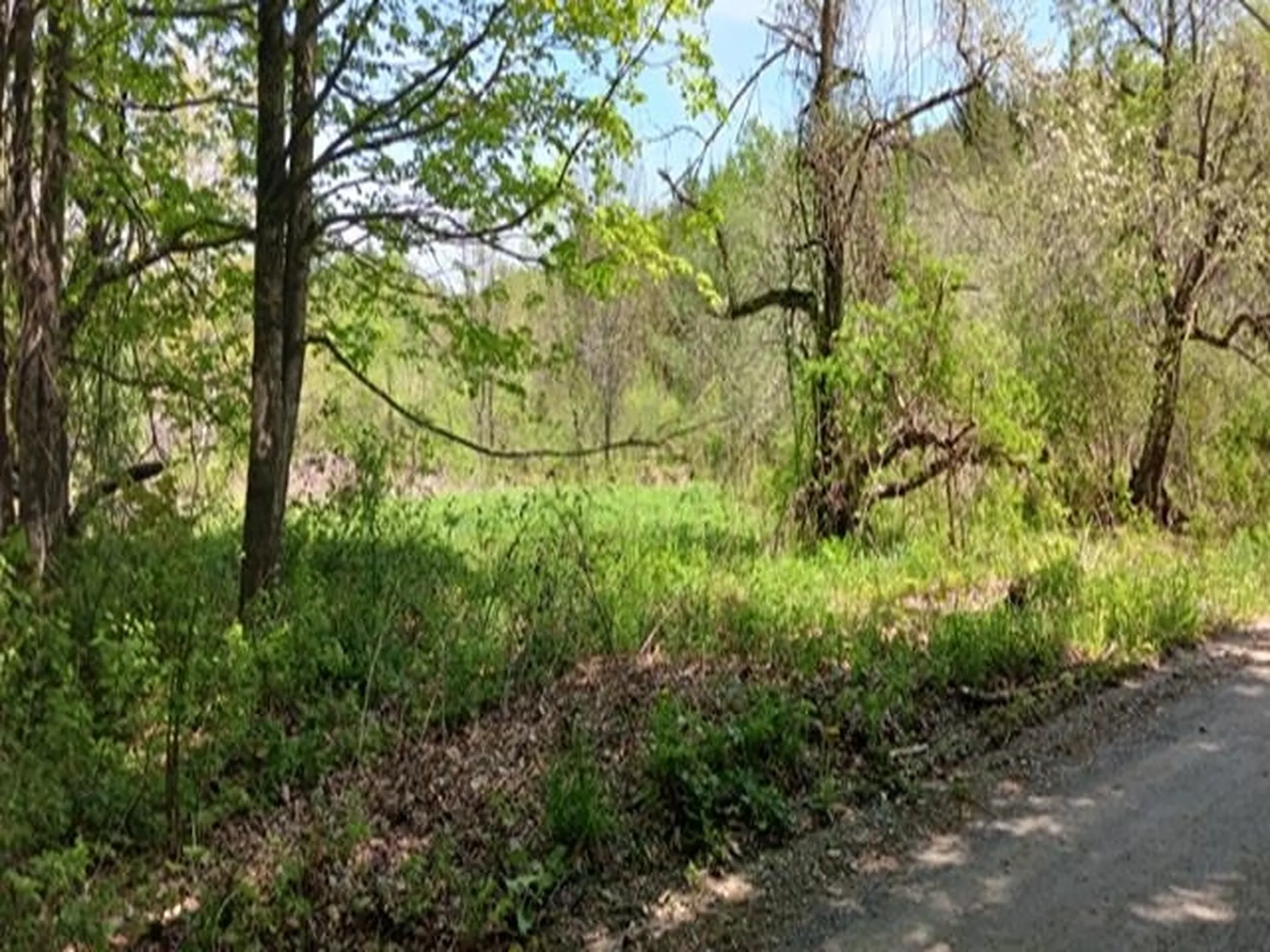 00 Orchard Road Chesterfield NH 03446