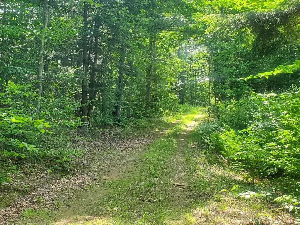 Gordon Hill Road New Hampton NH 03256