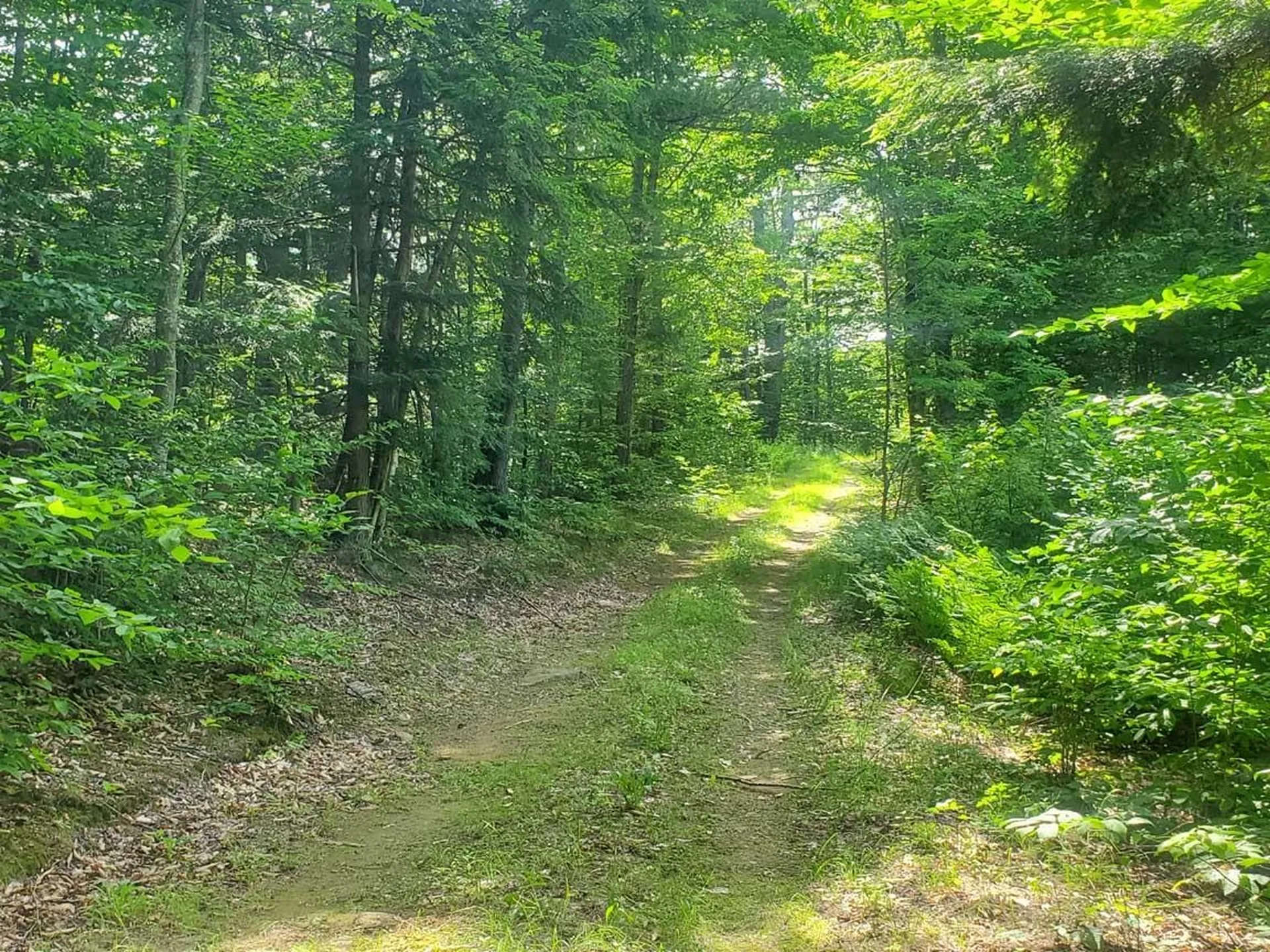 Gordon Hill Road New Hampton NH 03256