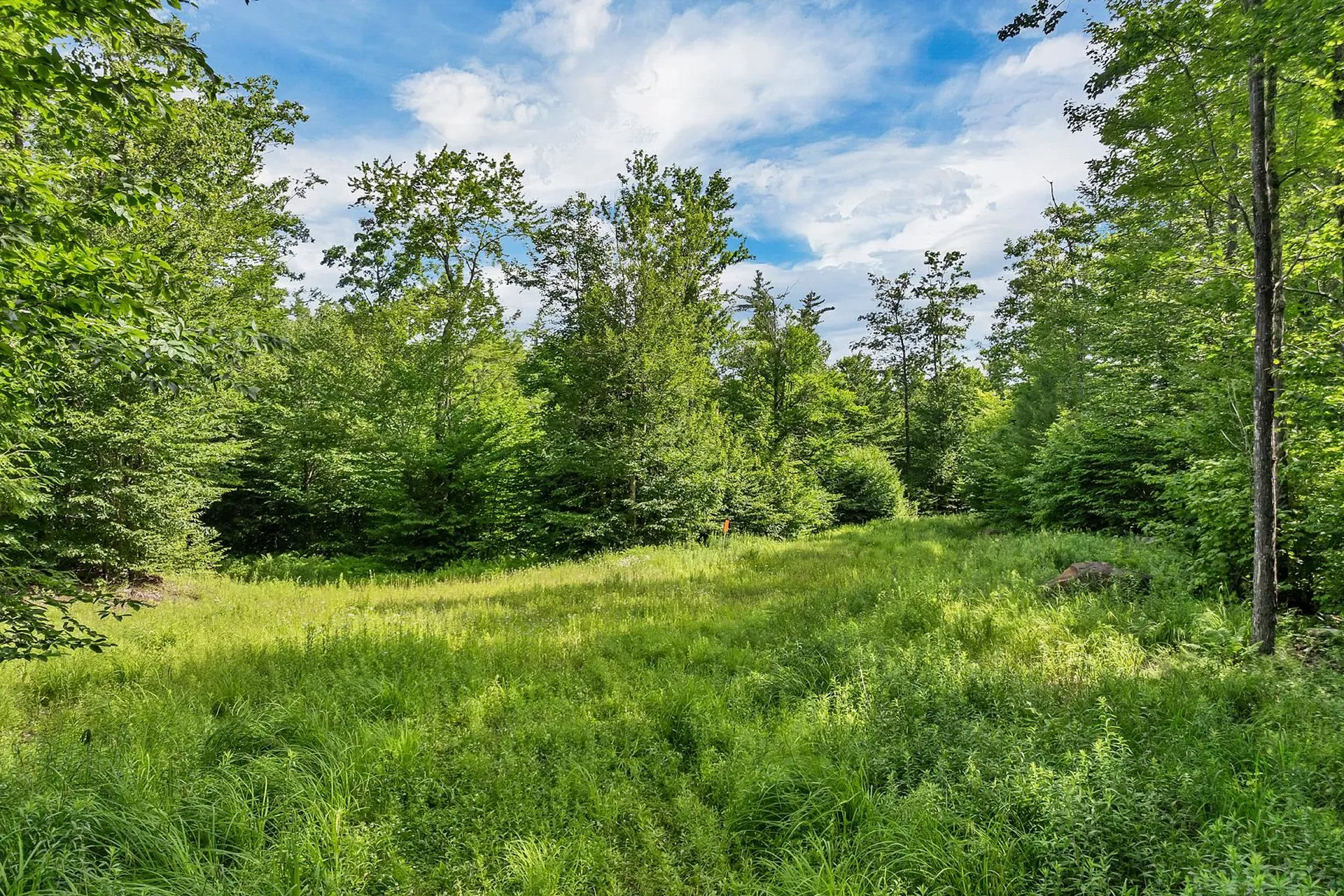 Gordon Hill Road New Hampton NH 03256