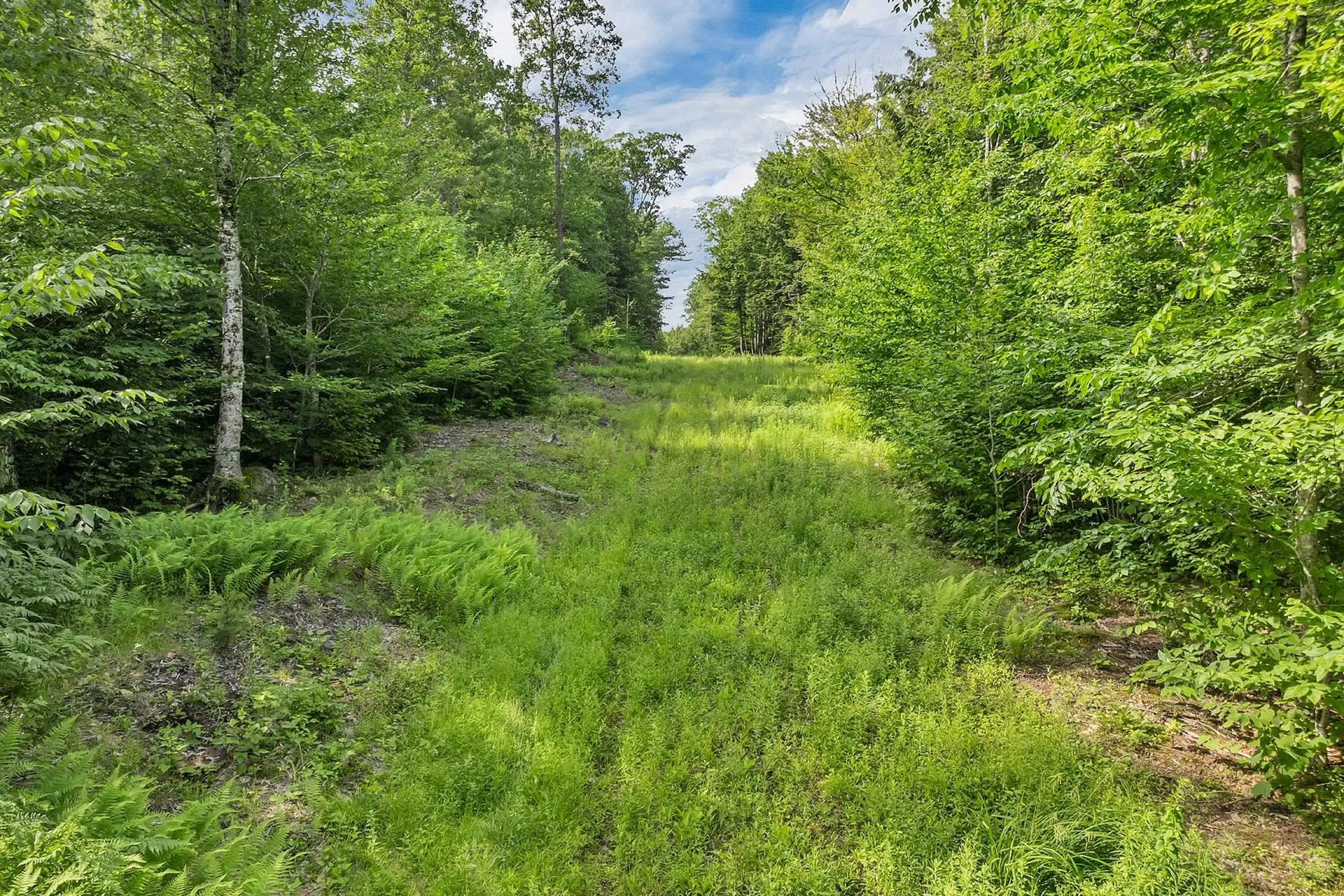 Gordon Hill Road New Hampton NH 03256