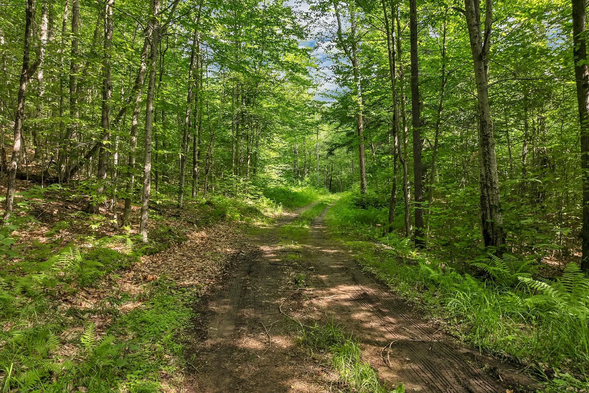 Gordon Hill Road New Hampton NH 03256