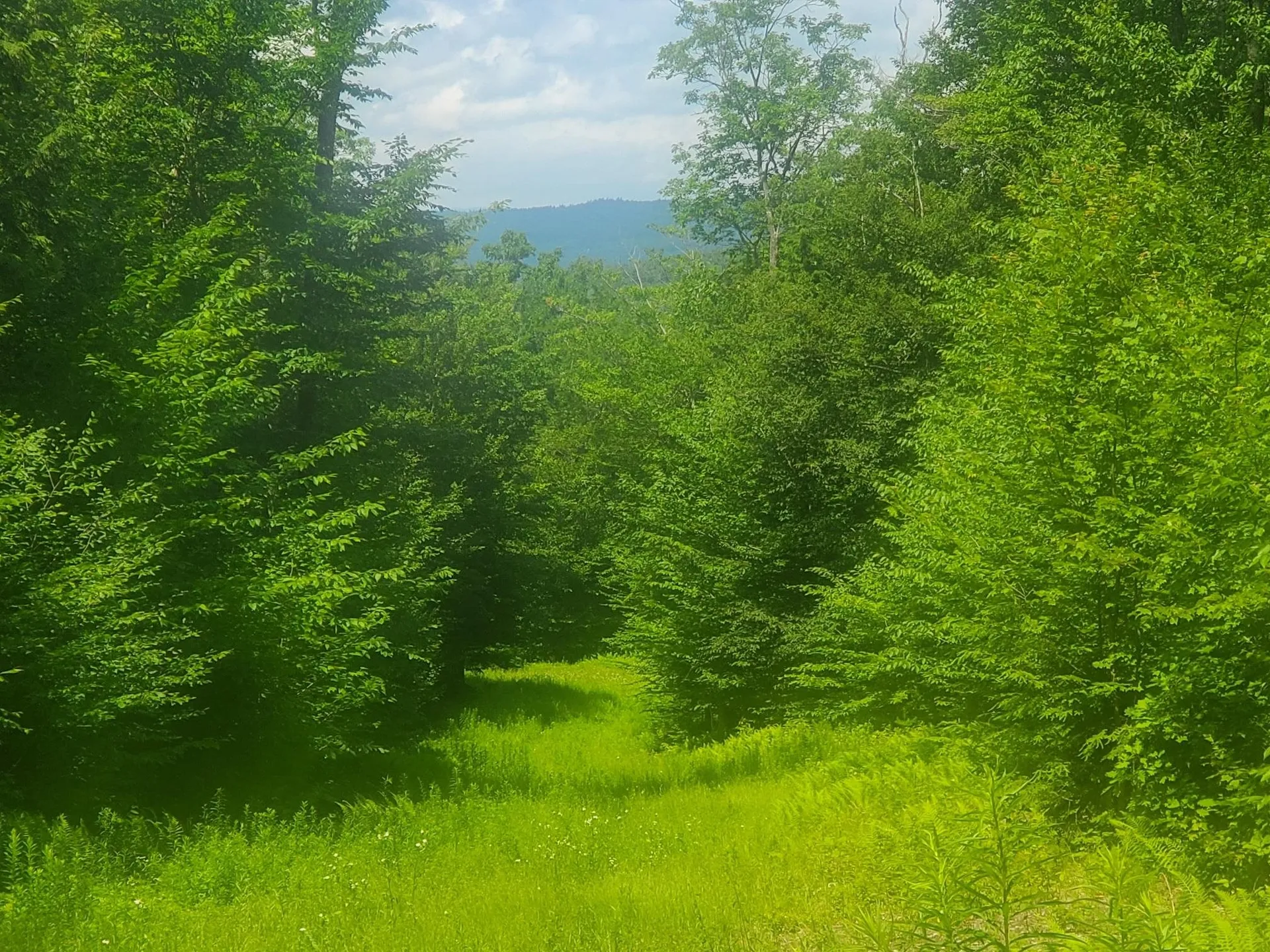 Gordon Hill Road New Hampton NH 03256