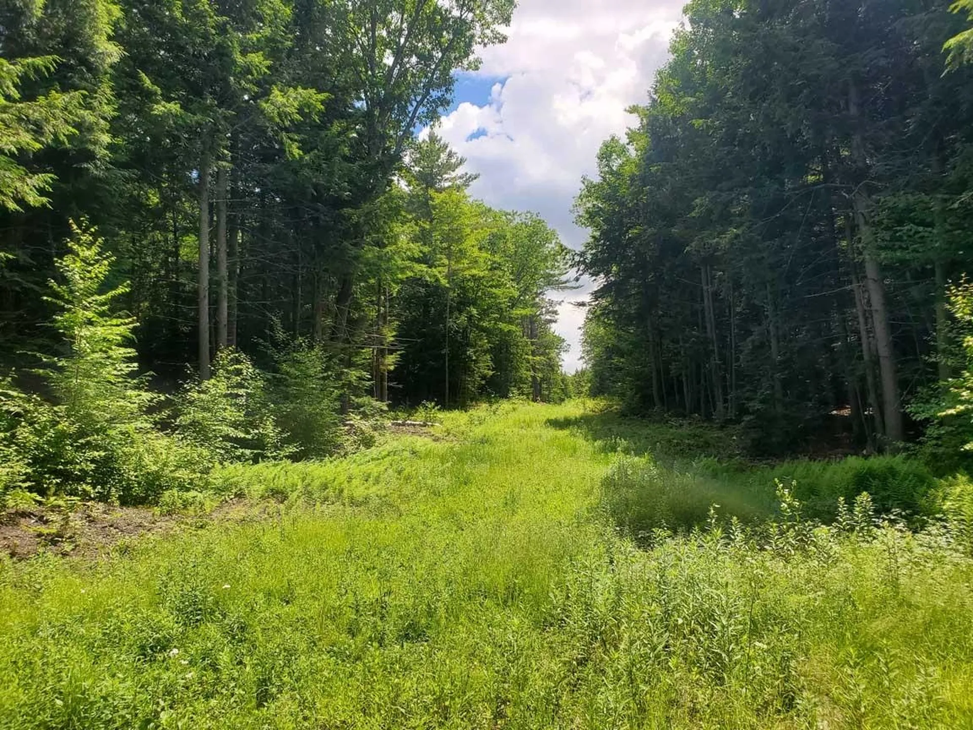 Gordon Hill Road New Hampton NH 03256