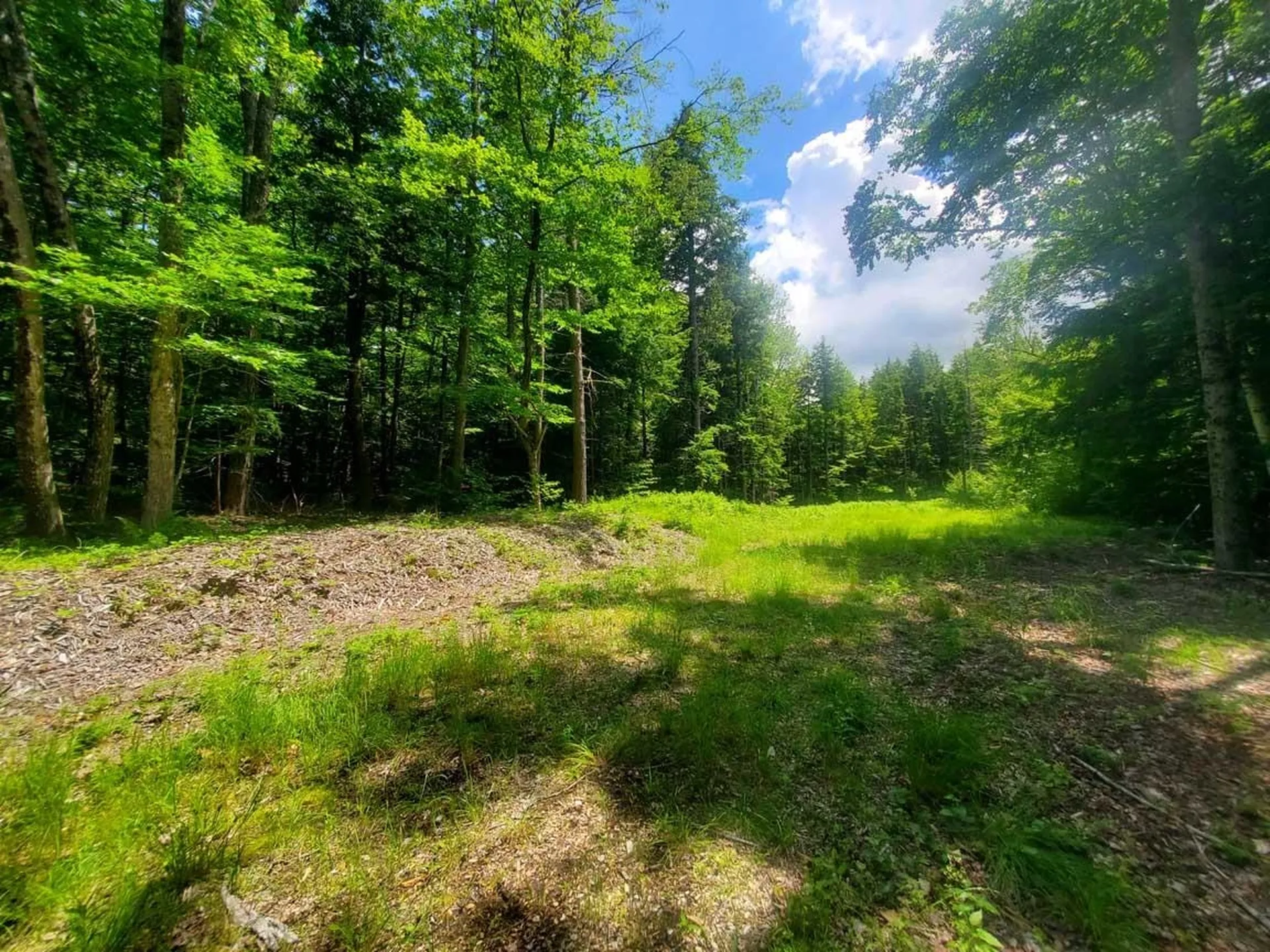 Gordon Hill Road New Hampton NH 03256