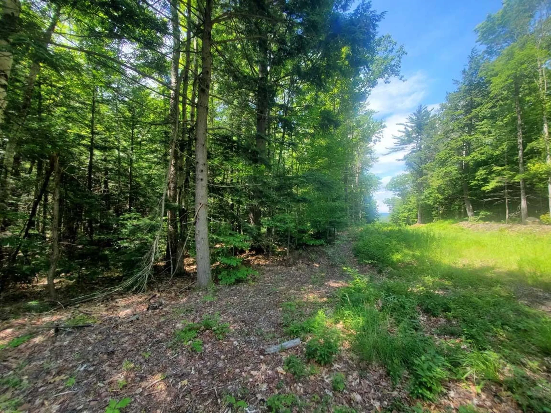 Gordon Hill Road New Hampton NH 03256