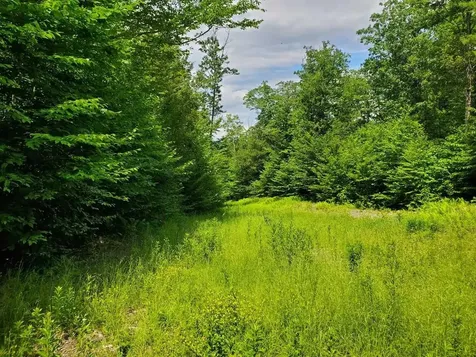 Gordon Hill Road New Hampton NH 03256